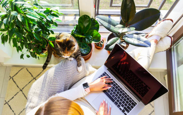 Best Remote Job Agencies To Hire Remote Worker